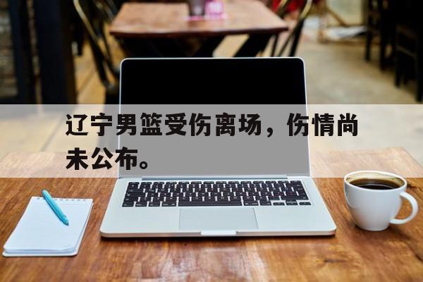 合乐彩票网页版-辽宁男篮受伤离场，伤情尚未公布。
